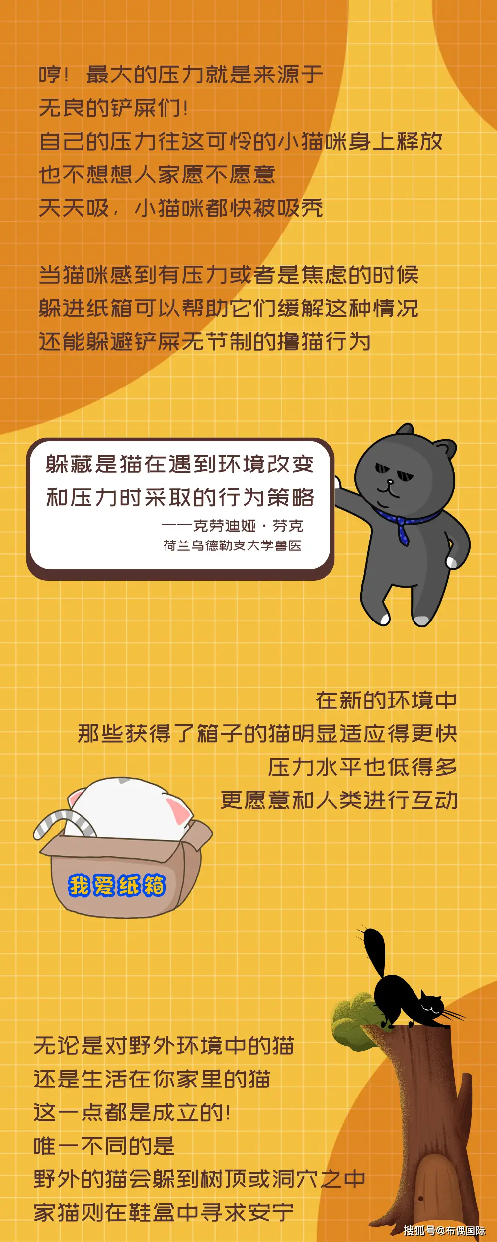 星猫大富翁秘籍_星猫大富翁怎么玩_星猫大富翁游戏技巧