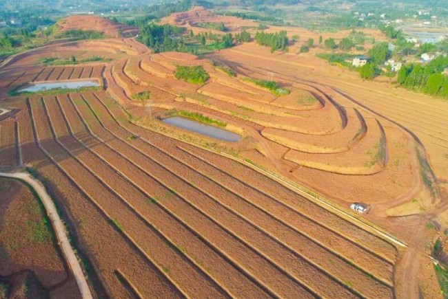 大富翁4:超时空之旅绿色_大富翁4:超时空之旅绿色_大富翁4:超时空之旅绿色