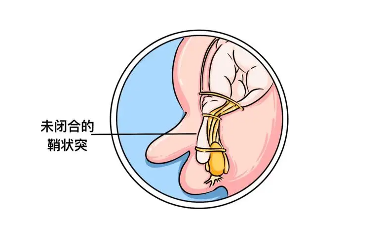 蛋蛋赚能赚多少钱_蛋蛋赚真的可以提现么_蛋蛋赚钱app