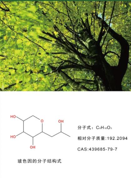 醇酚醚都是烃的什么_醇酚醚思维导图_第九章 醇酚醚