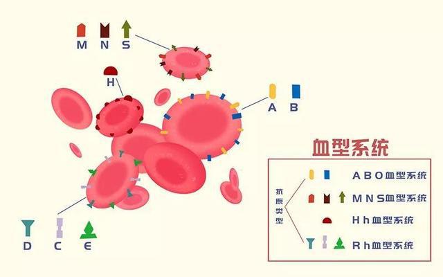 模仿游戏在哪里可以看_模仿游戏观看_模仿游戏犯法吗