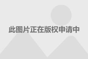 丝路英雄0声望被打_丝路英雄官职与声望_丝路英雄声望怎么涨