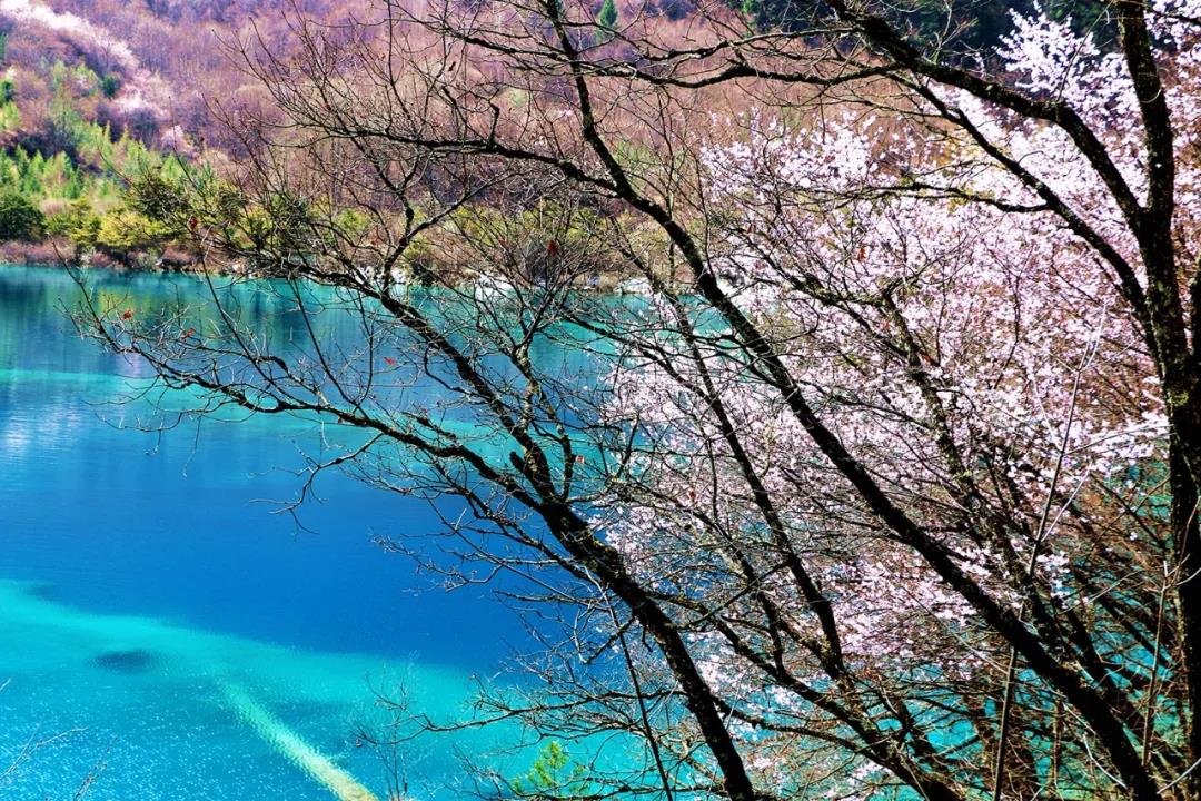 日本动画风景_风景画面很美的日本动漫_日本风景动漫