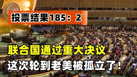 联合国印章样式_联合国公章_中国2联合国之章下载