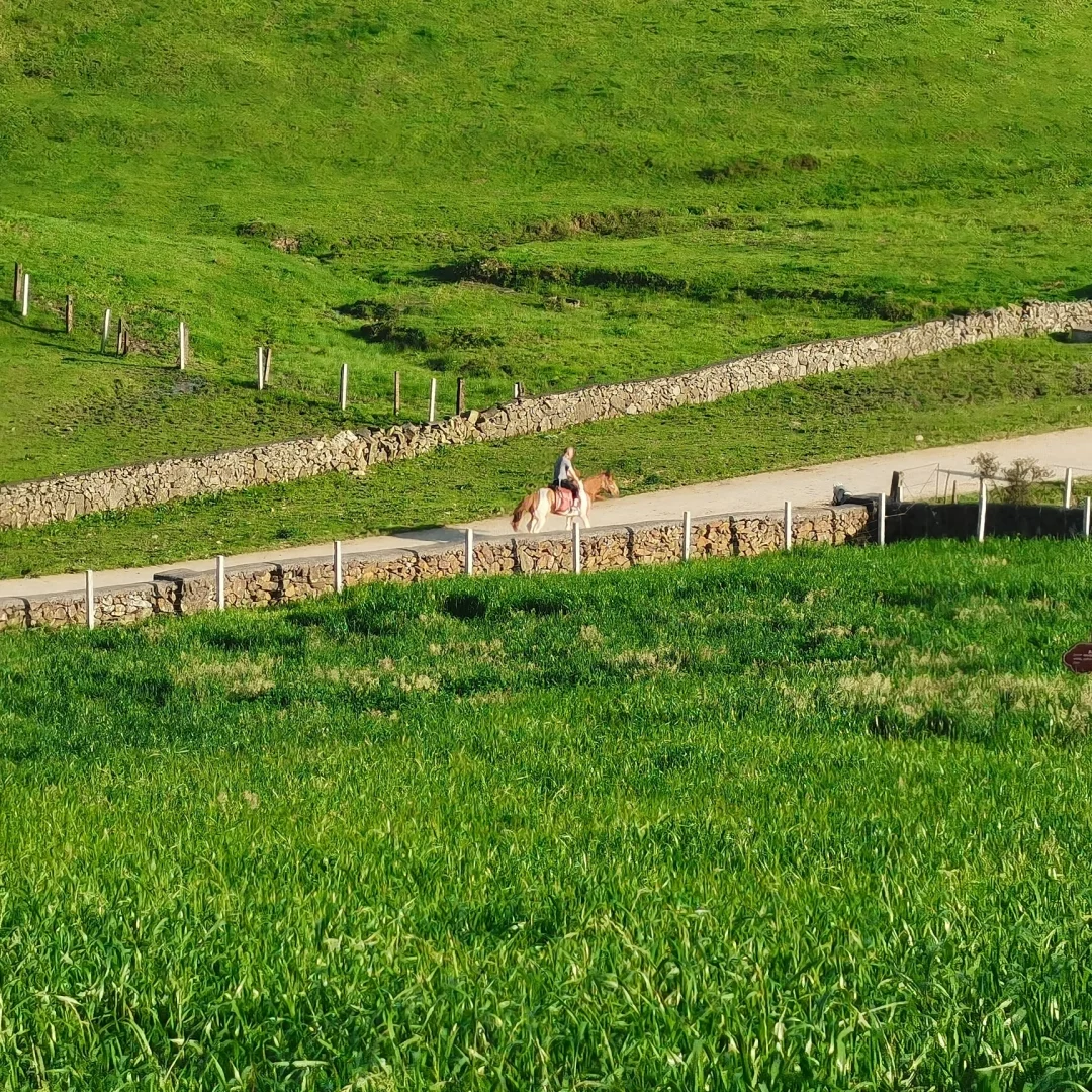 动画基地 mad_动画基地停刊了吗_动画基地所有专辑