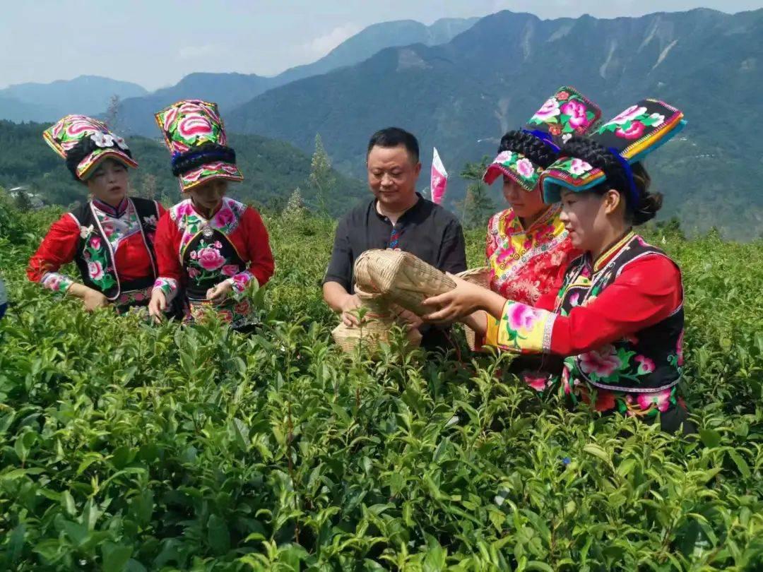 动画基地 mad_动画基地停刊了吗_动画基地所有专辑