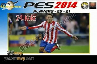 pes2014