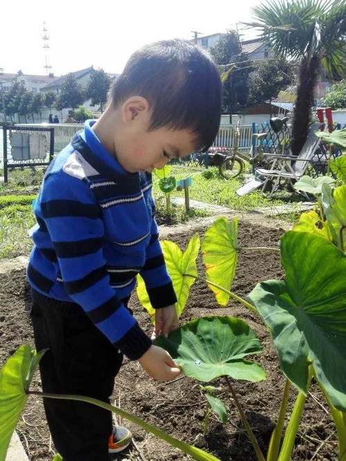 泡泡大作战游戏手机游戏 