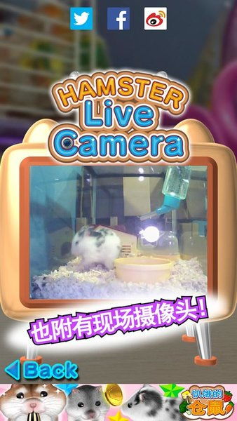 偷吃零食的猫 