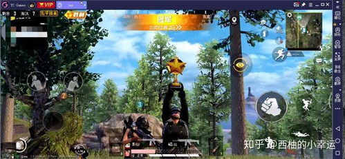 pubg画质修改器(永久修改) 