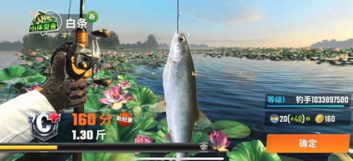 狂野钓鱼2 