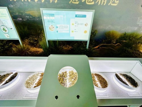 泡泡大作战游戏手机游戏 泡泡大作战游戏手机游戏