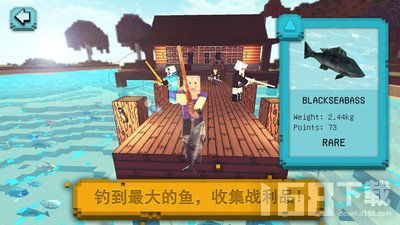 小猫钓鱼游戏 