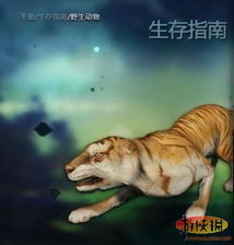 果盘游戏最新版 果盘游戏最新版