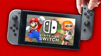 怀德花园switch游戏 