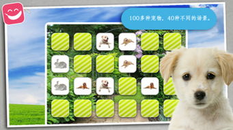 宠物记时  宠物记时