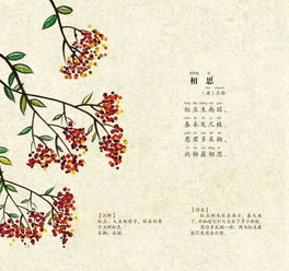 地域之诗游戏手机版  地域之诗游戏手机版