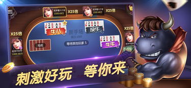 酷牛斗牛直播  酷牛斗牛直播