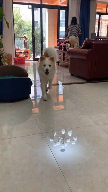 七七二三游戏盒安装免费 